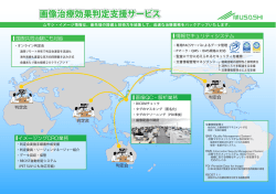画像治療効果判定支援サービス - ムサシ・イメージ情報株式会社