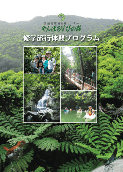 Untitled - やんばる学びの森