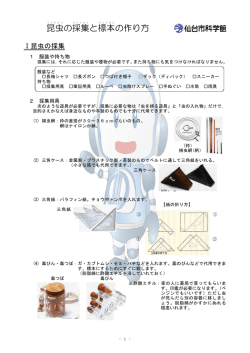 昆虫の採集と標本の作り方