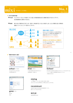 BLOG SNS