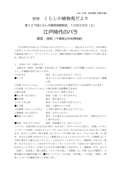 江戸時代のバラ