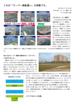 【PDF】これが「スーパー無駄遣い」の実態です。