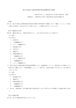 職員の給与及び退職手当の支給基準