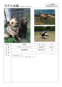 こちら