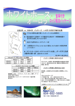 PowerPoint プレゼンテーション