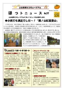 37（2010年11月25日）