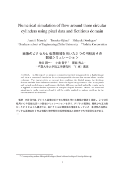 画像のピクセルと仮想領域を用いた3つの円柱周りの 数値シミュレーション
