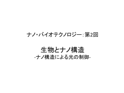 2016年：生物とナノ構造