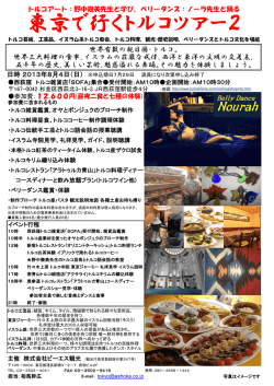 東京で行くトルコツアー2 - 株式会社ビーエス観光 アショカツアーズ