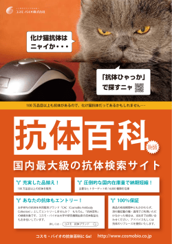 PDFダウンロード