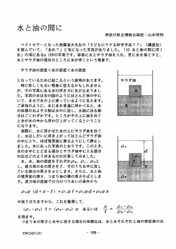 PDF版764KB