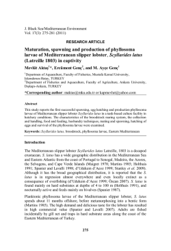 Combi 2P01Oct16 コンビ Car Chair シート Joy trip Egg shock GC air