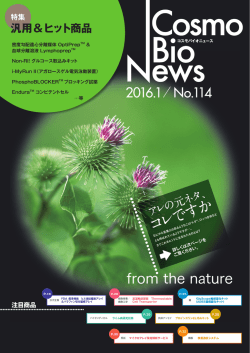 PDFダウンロード