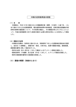 沖縄の産業振興基本調査 - 内閣府 沖縄総合事務局