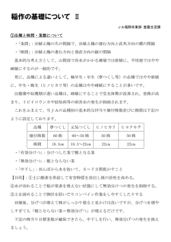 稲作基礎 - JA福岡市東部