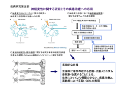 神経変性に関する研究とその疾患治療への応用