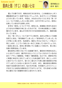 筋肉と筋（すじ）の違いとは