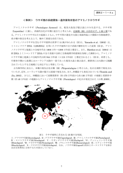 ＜事例＞ ウサギ類の系統関係－遺存固有状態のアマミノクロウサギ