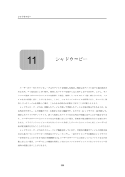 11 シャドウコピー