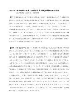 2P070 複素環配位子まで非局在化する銅 (II)錯体の磁性軌道