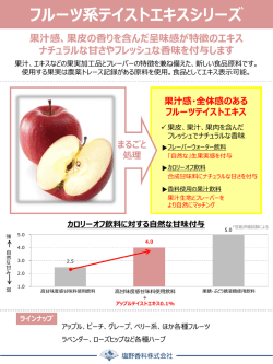 PDF資料（332KB）