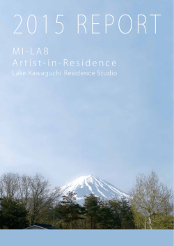 MI - LABA rtist - in - R esidence