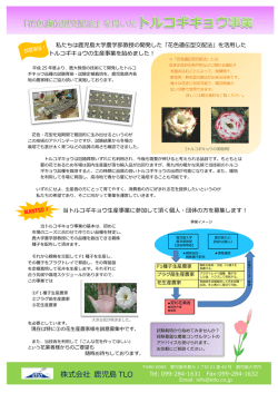 案内チラシ（PDF）はこちら。