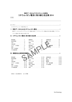 リチウムイオン電池に取り組む全企業 2014