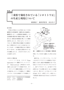 三重県で栽培されている「シロミトリ豆」 の生産と利用について