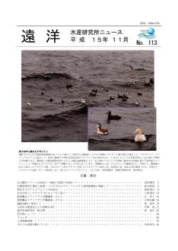遠洋 No. 113 - 国際水産資源研究所