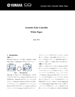 Acoustic Echo Canceller White Paper