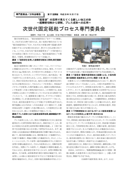 次世代固定砥粒プロセス専門委員会