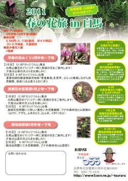 春の花旅 in 白馬