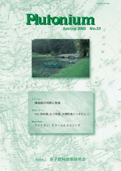 Spring 2001 No.33