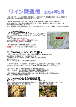 1、CAVAとは、、、 2、CAVAとシャンパンの違い 3、CAVAのおもな
