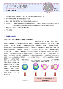 News Letter No.13