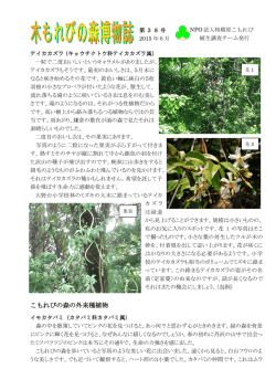 第38号 2015年 6月