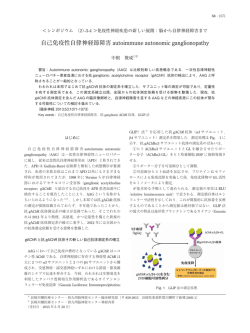 自己免疫性自律神経節障害 autoimmune autonomic ganglionopathy
