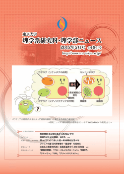 （PDF）のダウンロードはこちら - 東京大学 大学院理学系研究科・理学部