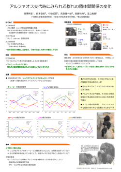 アルファオス交代時にみられる群れの個体間関係の変化