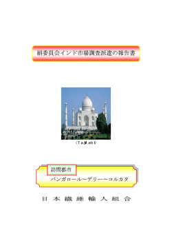 絹委員会インド市場調査派遣の報告書