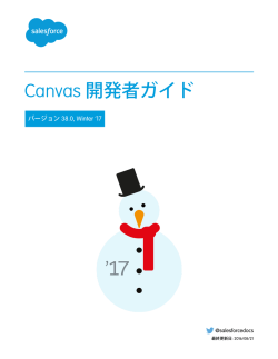 開発者ガイド - Salesforce.com
