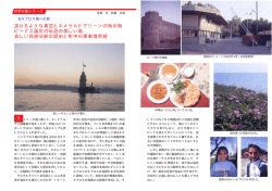 抜けるような青空とエメラルドグリーンの地中海 ビーナス誕生の伝説の