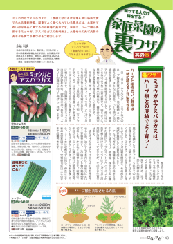 ミョウガと アスパラガス