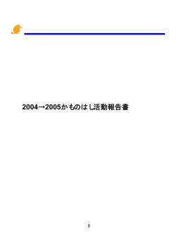 2004年度報告書（PDF：646KB）