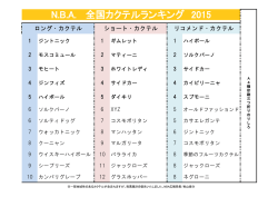 PDF印刷用PRグッズ