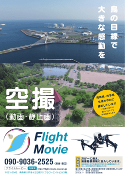 鳥 の 目 線 で 大 き な 感 動 を