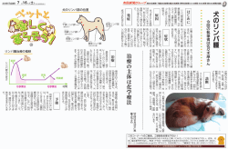 2016年7月16日 犬のリンパ腫