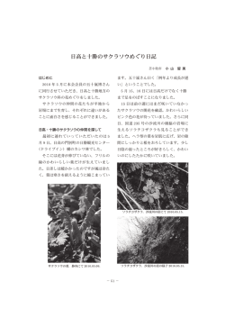 日高と十勝のサクラソウめぐり日記