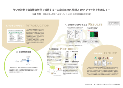発表内容はこちら（831KB,PDF形式）